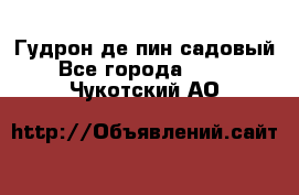 Гудрон де пин садовый - Все города  »    . Чукотский АО